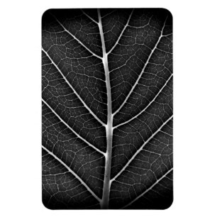 Magnet Flexible Fermeture de la feuille brillante noire et blanche