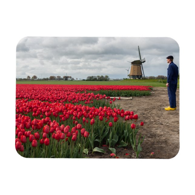Magnet Flexible Fermier inspectant ses tulipes et son moulin à ven (Horizontal)