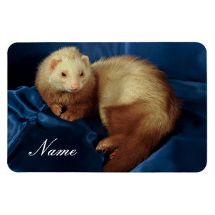 Magnet Flexible Ferret pour animal de compagnie personnalisé