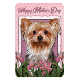 Magnet Flexible Fête des mères - Tulipes roses - Yorkshire Terrier