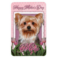 Fête des mères - Tulipes roses - Yorkshire Terrier