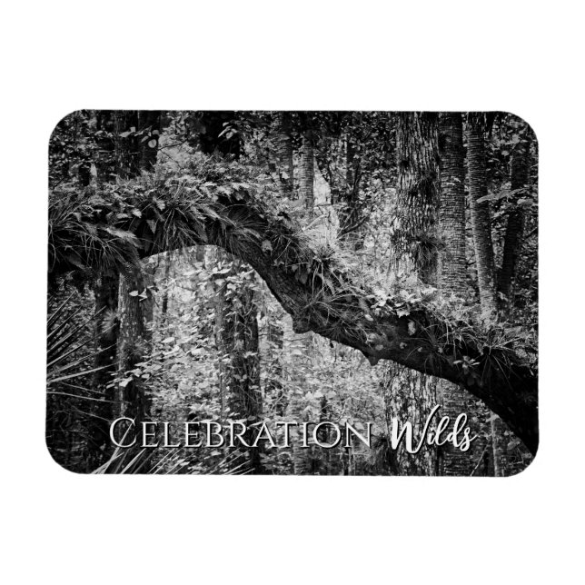 Magnet Flexible Fête Wilds (Horizontal)