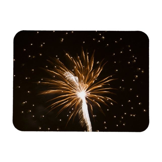 Magnet Flexible Feu d'artifice sur la rivière Savannah (Horizontal)