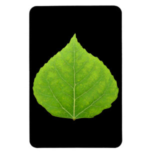 Magnet Flexible Feuille d'Aspen vert #11