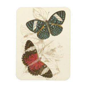 Magnet Flexible Feuille de sépia avec les papillons colorés