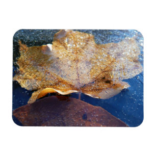 Magnet Flexible Feuille d'érable jaune congelée Automne Nature