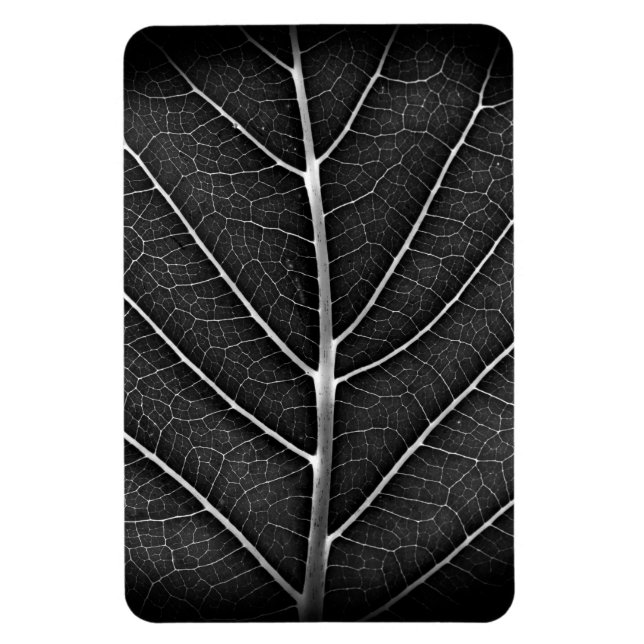 Magnet Flexible Feuille lumineuse noir et blanc en gros plan (Vertical)