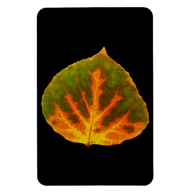 Magnet Flexible Feuille vert orange et jaune d'Aspen #1 (Vertical)