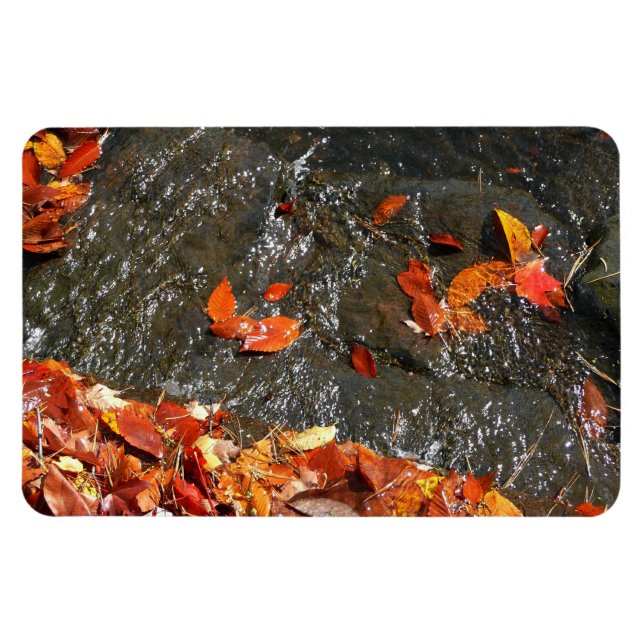 Magnet Flexible Feuilles d'automne dans la cascade I Photographie  (Horizontal)