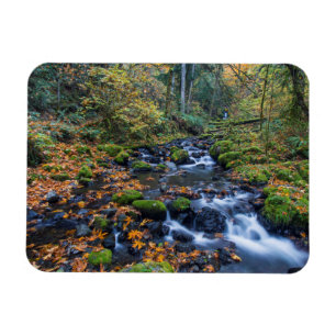 Magnet Flexible Feuilles d'automne éparpillées le long du ruisseau