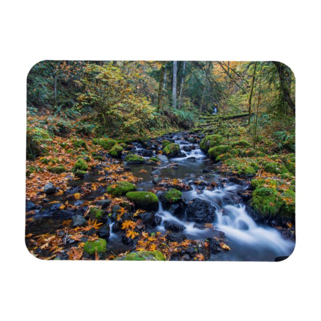 Magnet Flexible Feuilles d'automne éparpillées le long du ruisseau (Horizontal)