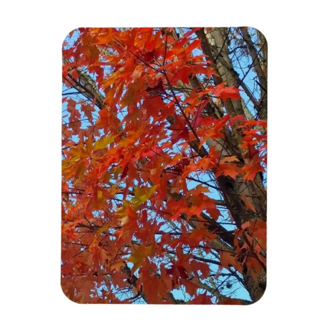 Magnet Flexible Feuilles d'automne rouges (Vertical)