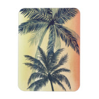 Feuilles de palmiers tropicaux