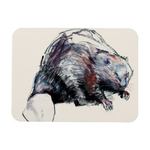 Magnet Flexible Fibre 2001 de roulette