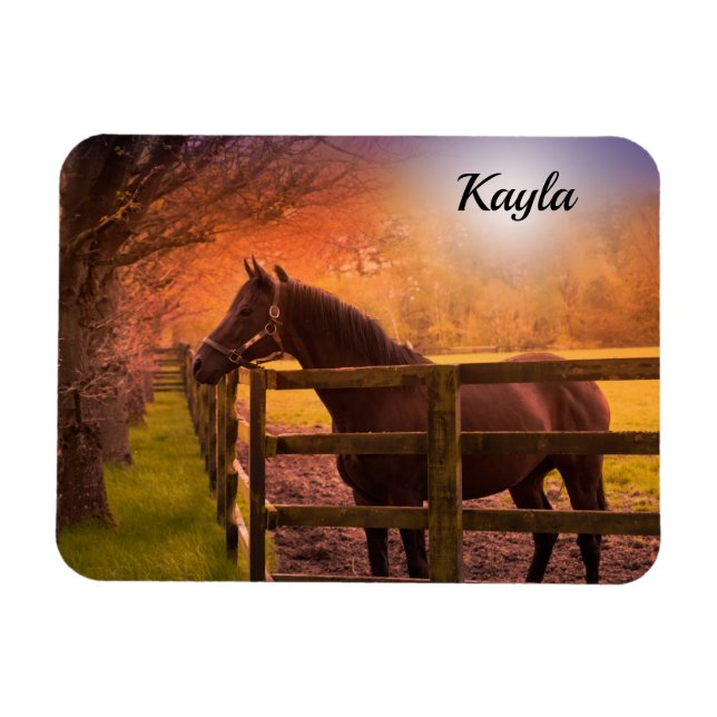 Magnet Flexible Fille du cheval (Horizontal)