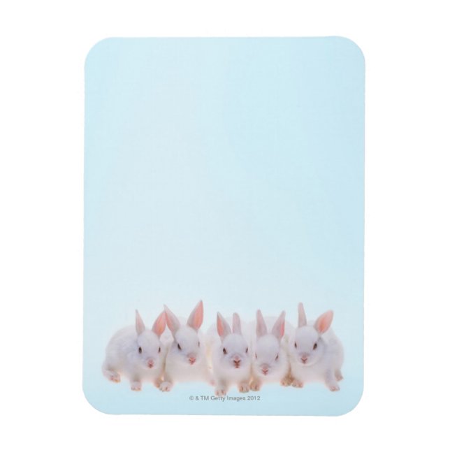Magnet Flexible Five Rabbits (Vertical)