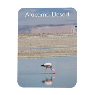 Magnet Flexible Flamant rose Atacama Désert Aimant Flexible