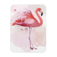 Flamant rose de bouffée