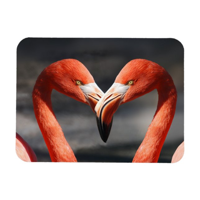 Magnet Flexible Flamant rose Valentine (Horizontal)