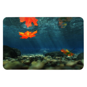 Magnet Flexible Flamme dans l'aimant flexible de l'eau