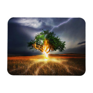 Magnet Flexible flash-845848 ARBRE D'ÉCLAIRAGE D'IMAGINAIRE BACKG