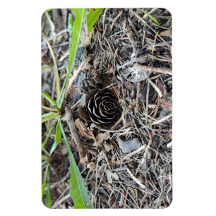 Magnet Flexible Fleur Abstraite de Pinecone