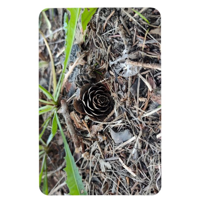 Magnet Flexible Fleur Abstraite de Pinecone (Vertical)