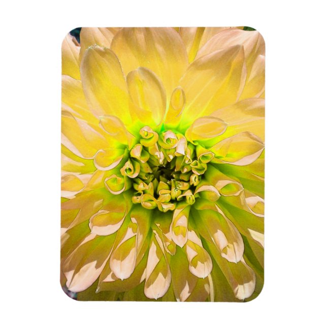 Magnet Flexible Fleur Dahlia Jaune (Vertical)
