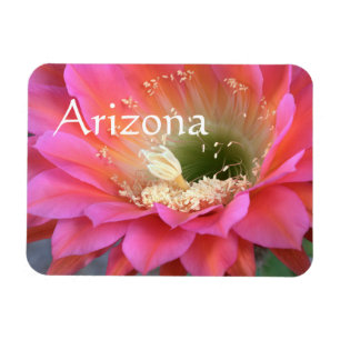 Magnet Flexible Fleur de cactus rose dans le désert