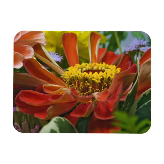 Magnet Flexible fleur de chrysanthème (Horizontal)