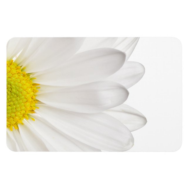 Magnet Flexible Fleur de marguerite blanche Arrière - plan de marg (Horizontal)