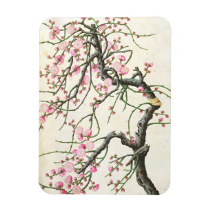 Magnet Flexible Fleur de pêche (couleur sur le papier)