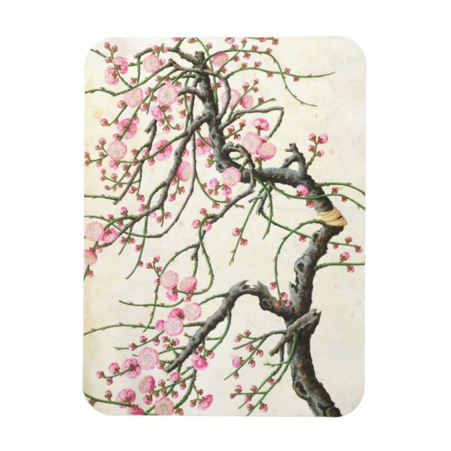 Magnet Flexible Fleur de pêche (couleur sur papier) (Vertical)