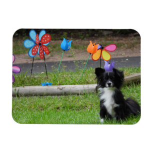 Magnet Flexible Fleur de printemps colorée mignonne Noir et Blanc