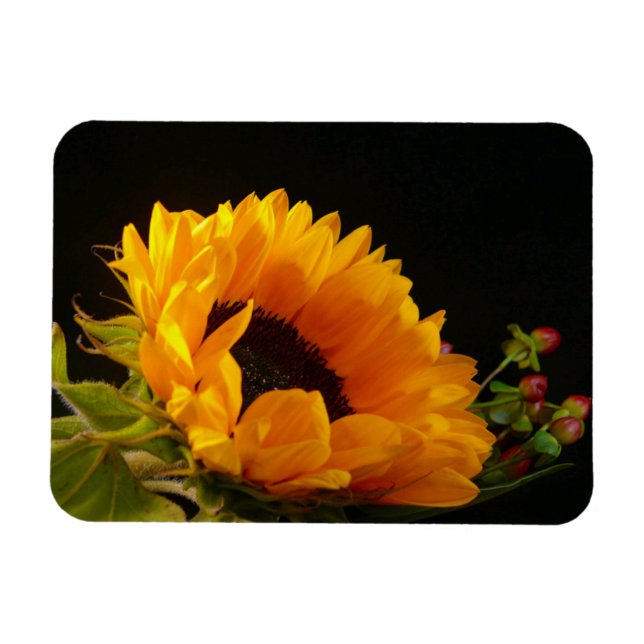 Magnet Flexible Fleur de soleil jaune (Horizontal)
