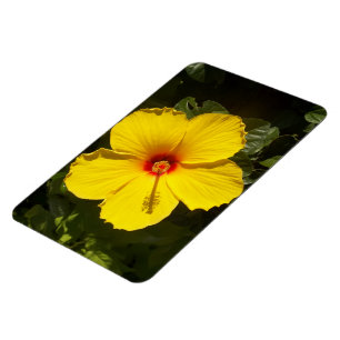 Magnet Flexible Fleur d'Hibiscus jaune