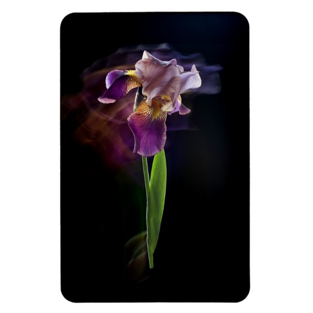Magnet Flexible Fleur d'iris abstraite – Art floral élégant (Vertical)