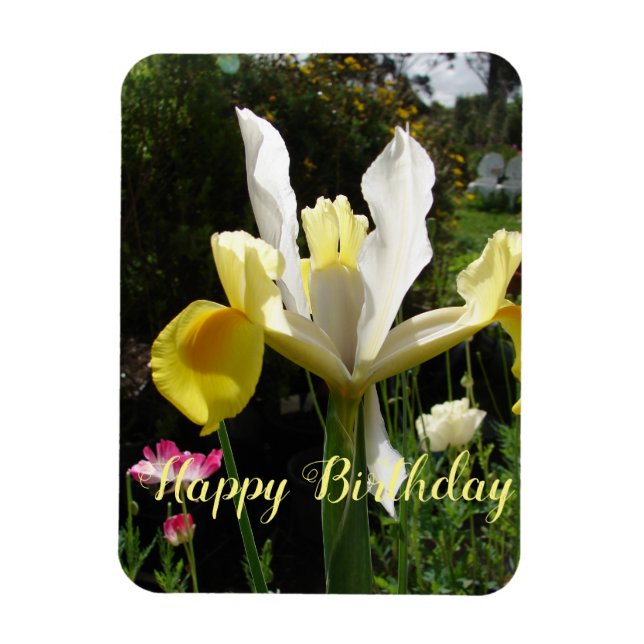 Magnet Flexible Fleur d'Iris Jaune Floral Irises d'anniversaire (Vertical)