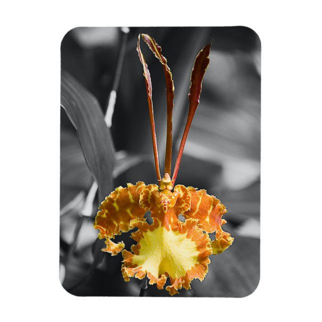 Magnet Flexible Fleur d'orchidée jaune (Vertical)