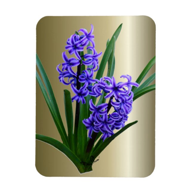 Magnet Flexible Fleur Hyacinth en pleine floraison (Vertical)