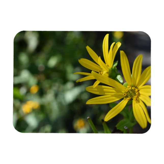 Magnet Flexible Fleur Jaune Fleur Florale Nature Photographie (Horizontal)