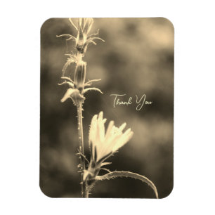 Magnet Flexible Fleur Romantique Boho – Fantaisie Botanique Merci