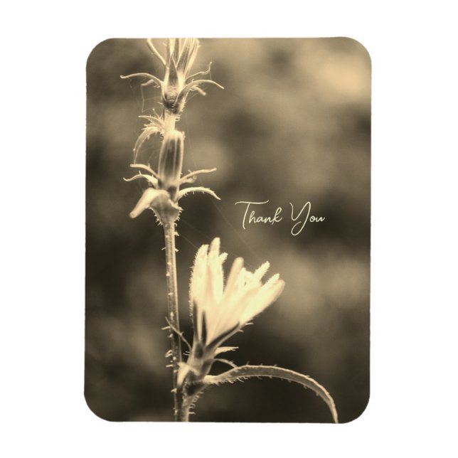 Magnet Flexible Fleur Romantique Boho – Fantaisie Botanique Merci (Vertical)
