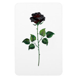 Magnet Flexible Fleur rose noire