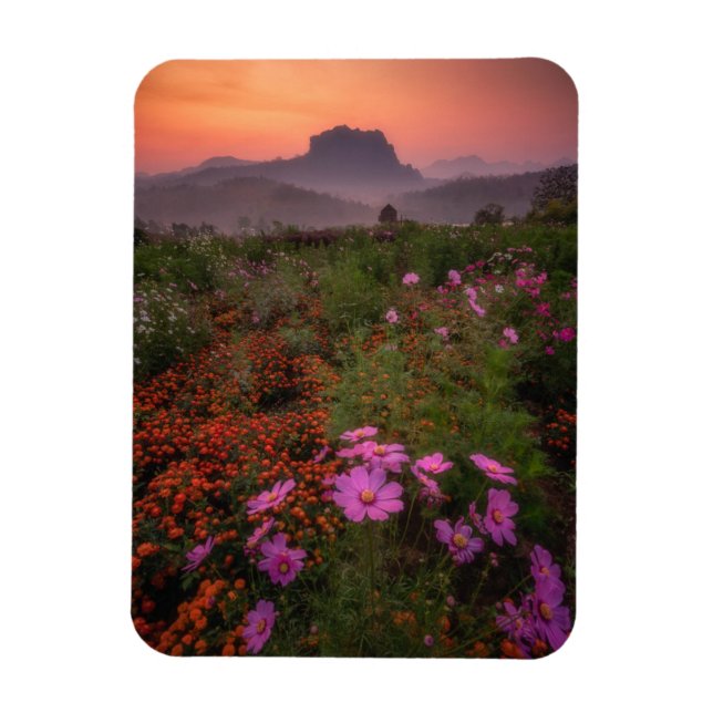 Magnet Flexible Fleurs | Chiang Dao, Chiang Mai, Thaïlande (Vertical)