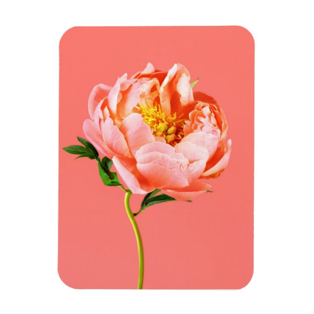 Magnet Flexible Fleurs | Coral Peony Blossom (Vertical)