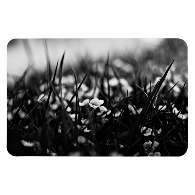 Magnet Flexible Fleurs dans le champ au printemps (Horizontal)
