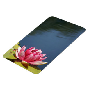 Magnet Flexible Fleurs de bassin de nénuphars