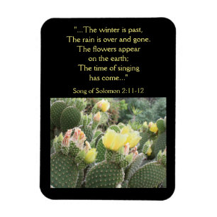 Magnet Flexible Fleurs de cactus Chanson de l'aimant Salomon