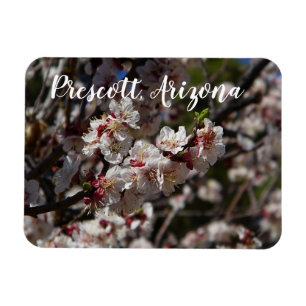 Magnet Flexible Fleurs de cerises en Prescott, Arizona